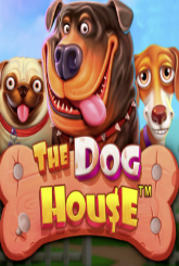 The Dog House